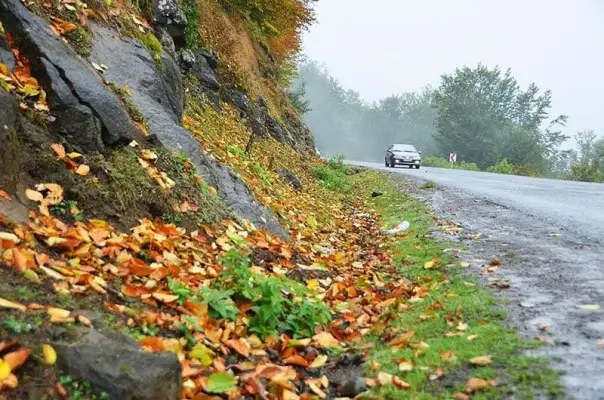 پیش بینی هوا تا پنجشنبه؛ بارش باران و برف در شمال و وضعیت هوای تهران